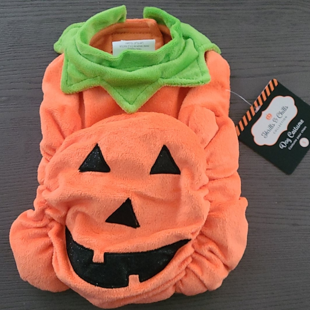Pet Costume